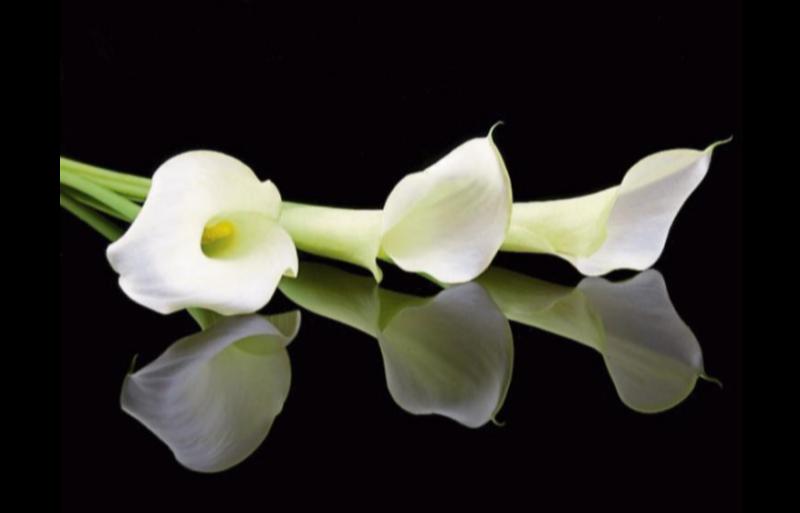 RIP: Sadness at death of Kilkenny man after 'long and fulfilling life' 