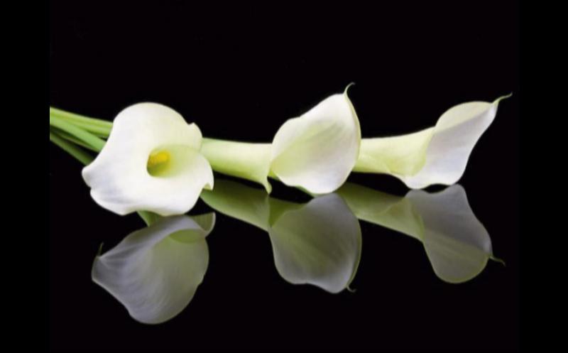 RIP: Kilkenny mourns the passing of much-loved figure 