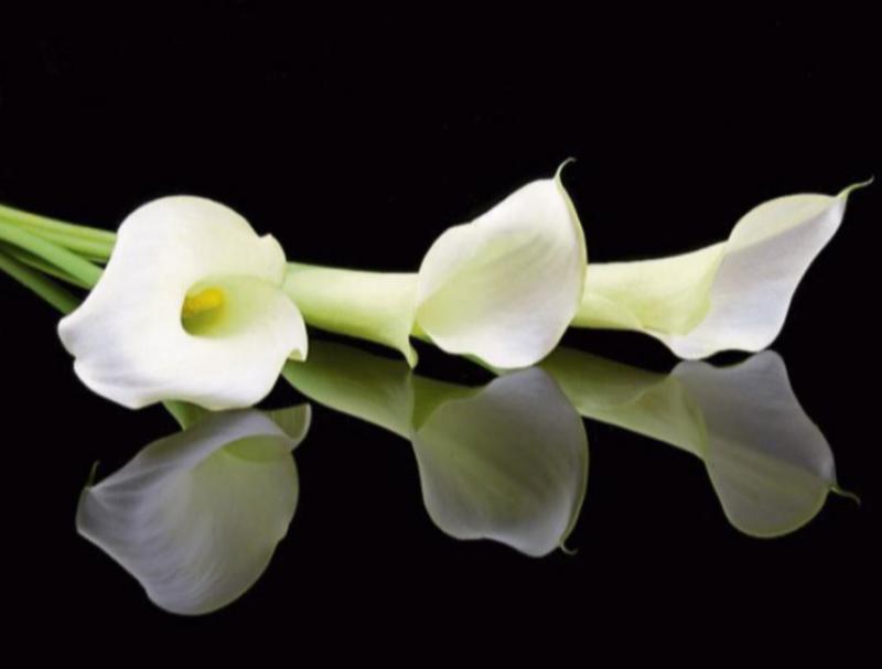 RIP: Kilkenny community remember 'ray of sunshine' after sad passing 