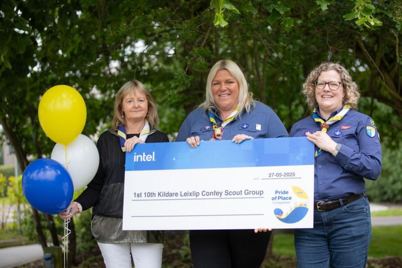 Winners of the 2025 Intel Pride of Place competition in Kildare are revealed