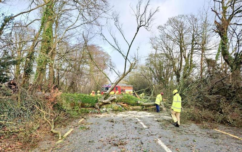 REVEALED: Nearly 4,000 Clare applicants make compensation claims following Storm Éowyn