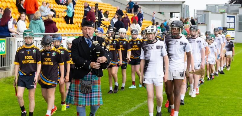 Traditional demarcation lines of Offaly football and hurling are &ldquo;blurring&rdquo; &ndash; County Board told