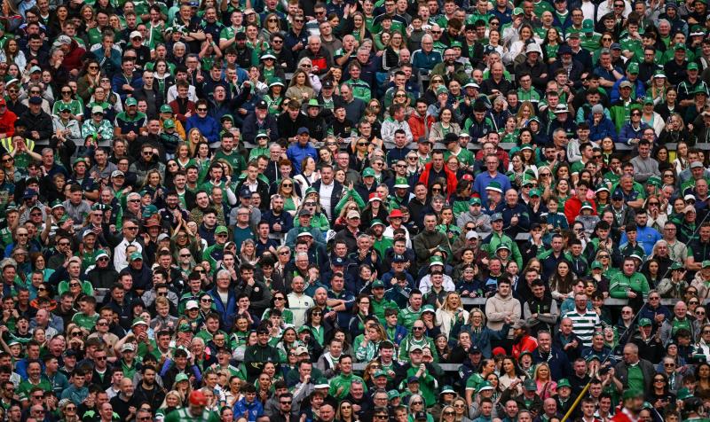 Sriracha Rebels V Guacamole Greens: A wild Munster hurling final night in Limerick