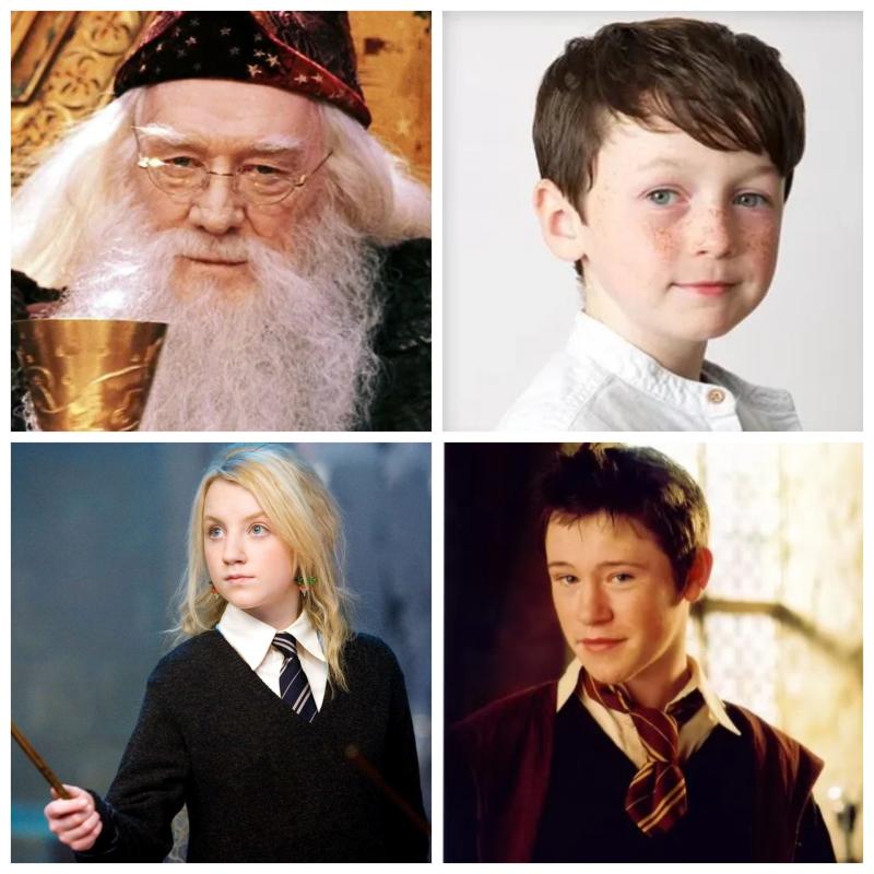 Leo joins a legacy: Irish stars who&rsquo;ve cast spells on the Harry Potter universe
