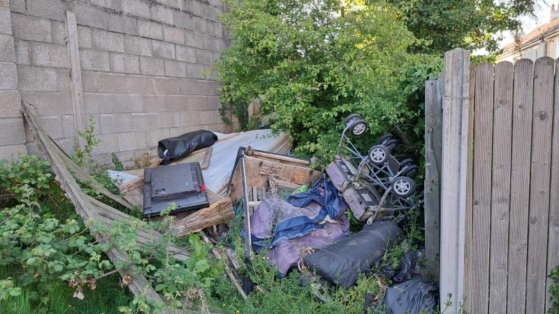 Rats in Portlaoise estate pull down 'Grade A' town in IBAL litter rankings