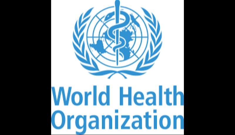 Limerick officially accredited by the WHO as a European Healthy City