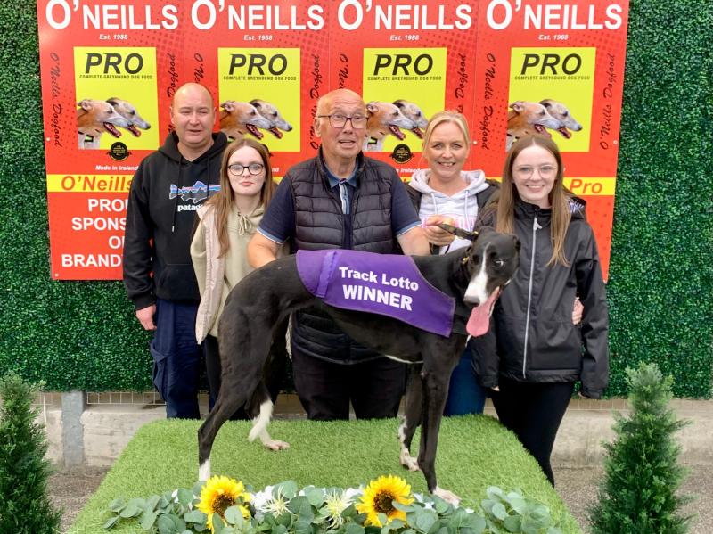 Derry Greyhounds: Sniper Roro on target in Sprint Shoot Out at Brandywell