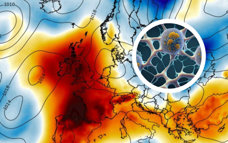 Met Éireann issue odd weather warning amid scorching 29C forecast 
