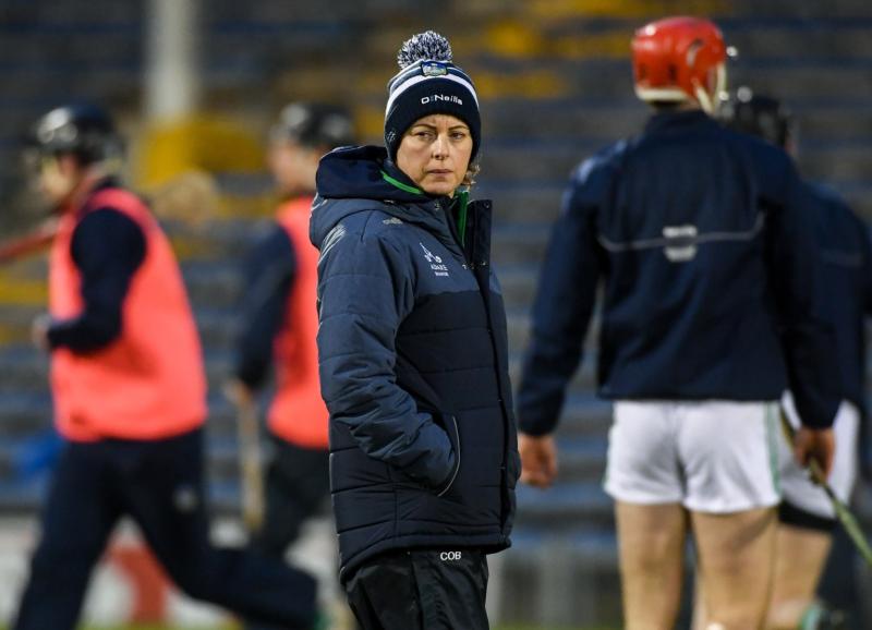 Former Limerick hurling psychologist joins Paul O'Connell's Irish rugby management team