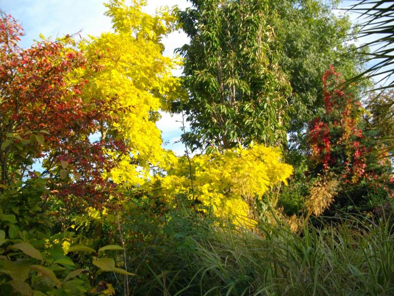 Dundalk couple are opening their garden to the public tomorrow for charity