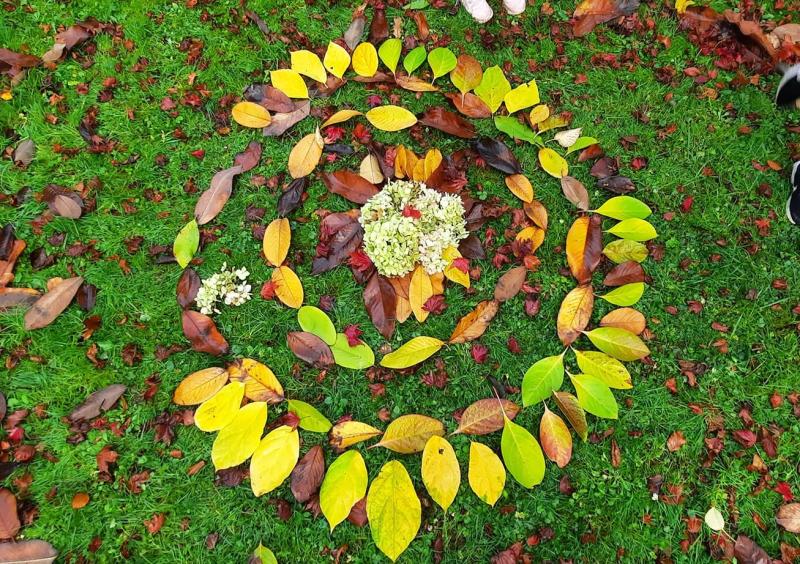 roscrea damer house art ecology