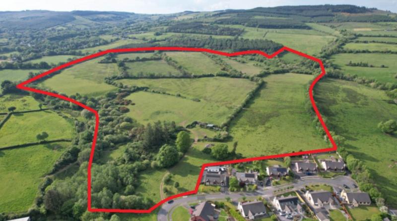 SOLD! Clare farm sells for 'well in excess' of advised minimum value at public auction