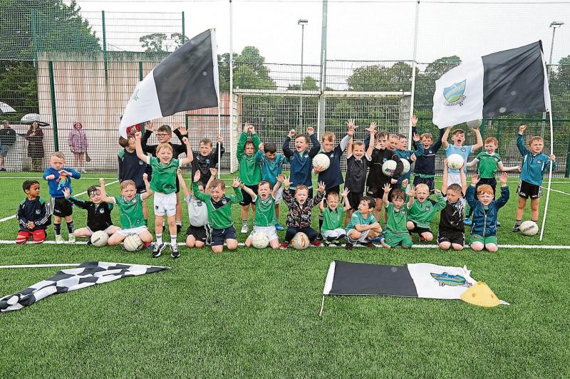 Pride in Newcastle West as 'one of their own' masterminds Limerick footballers' progress to final