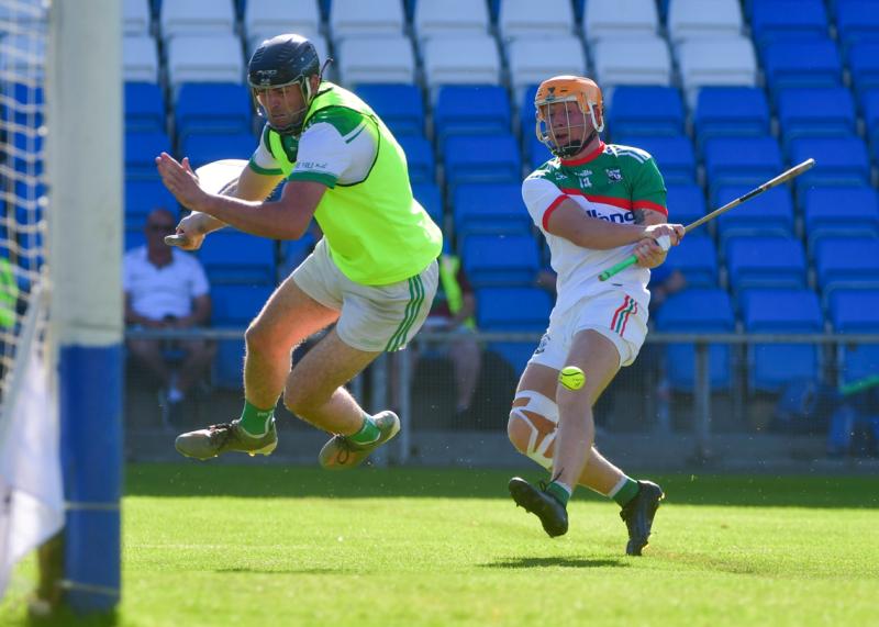 laois