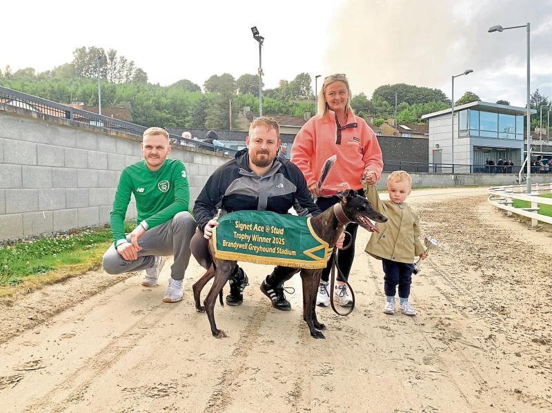 Derry Greyhounds: Catunda Quinn wins Signet Ace at Stud Trophy