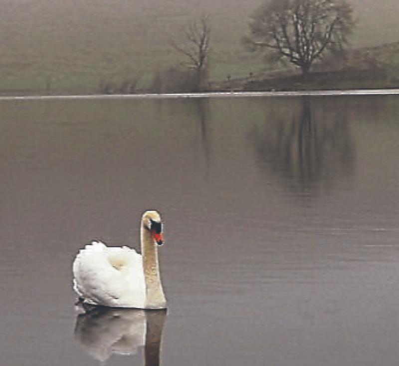 Manchán Magan sees ancient site in Limerick in new light following cancer diagnosis