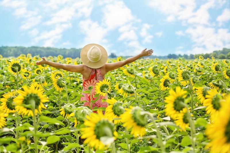 Sunflowers-themed fundraising event on Kildare border in aid of mum diagnosed with serious illness 