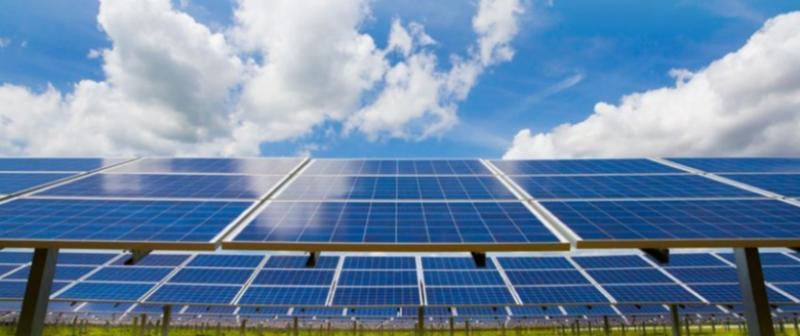 ‘It's like a prison fence’: Longford group bring battle against solar farm to Oireachtas