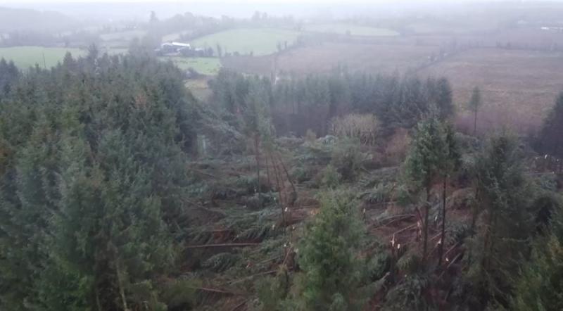 Storm-Damaged Coillte sites in Sligo and Leitrim set for repairs under €4M national investment – Minister Harkin
