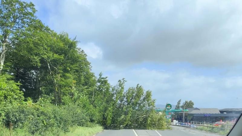 Donegal County Council and locals working to remove fallen tree in Ramelton