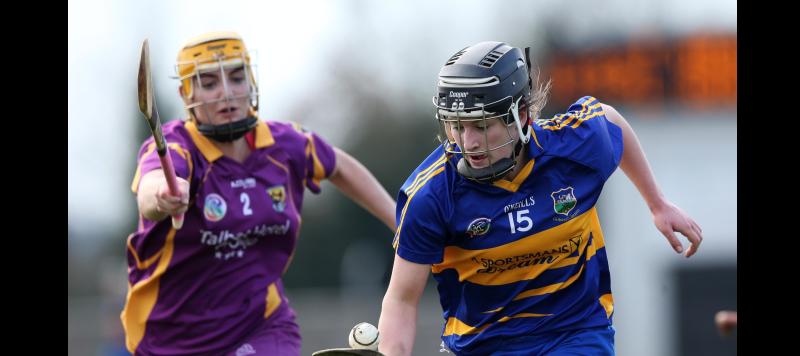 LONG READ: Tipperary All-Ireland winner Teehan keeps the faith with Offaly 