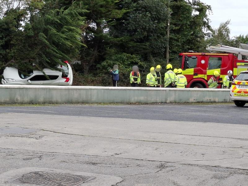 Car left in bushes off the road following incident in Limerick