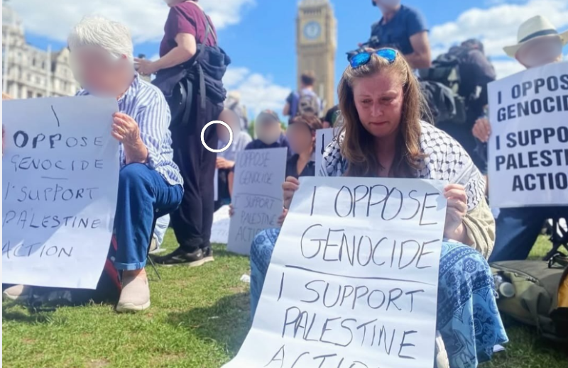 Limerick woman whose grandfather fought against British rule arrested at protest in London