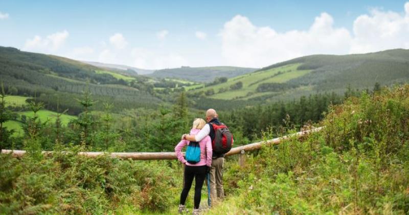SLIEVE BLOOMS 2