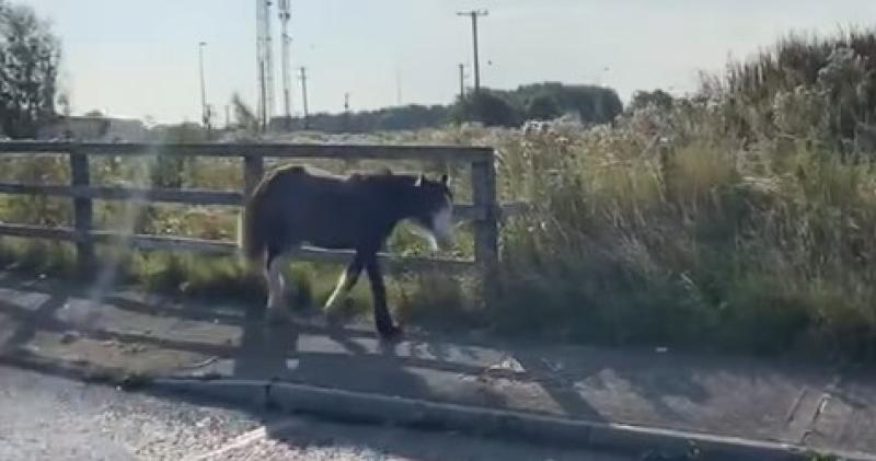 Tipperary Tipperary Tipperary 