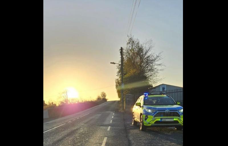 'A fixed charge notice doesn't cut it' - Limerick motorist arrested for dangerous driving
