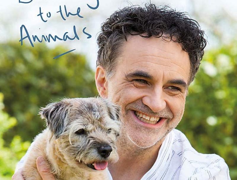 Laois Supervet confirms UK practice 'dramatically shrunk' with some staff let go