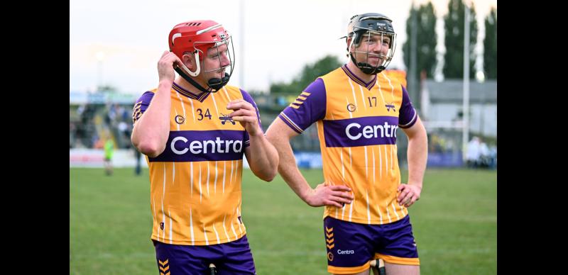 Hurling legend heaps praise and describes young Tipperary hurler as a 'tank of a young fella'