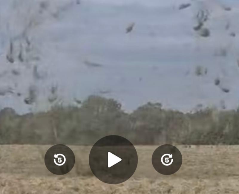 Twister caught on camera in Carlow? Odd weather as expert issues update