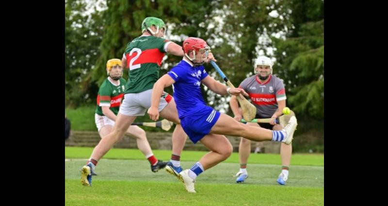 Sarsfields huff and puff their way to victory over stubborn Mullinahone challenge