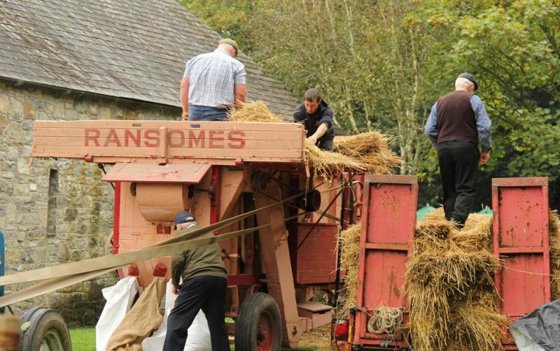 Bunratty Castle host variety of family-friendly events as part of Traditional Harvest Day