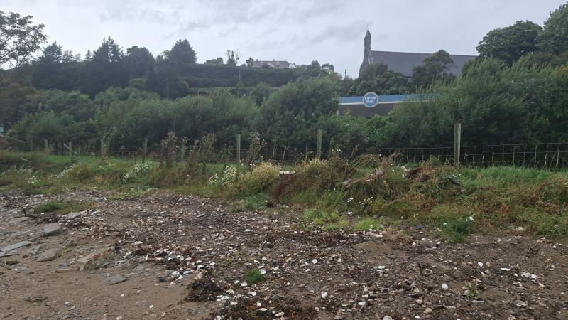 Calls for unregulated oyster fishermen to  ‘clean up their act’ after dumping incident