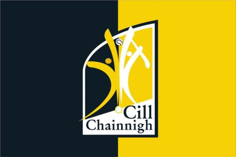Kilkenny GAA royalty honoured with Hall of Fame induction