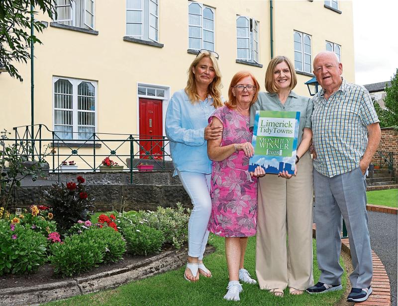 City centre residents honoured with Limerick Tidy Towns award
