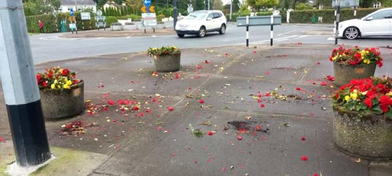 ''Why?'' asks Tullamore Tidy Towns as flowers ripped out of planters are thrown around 