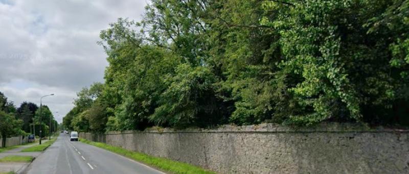 Councillor Declan Harvey has called for trees along the Charleville Road to be trimmed