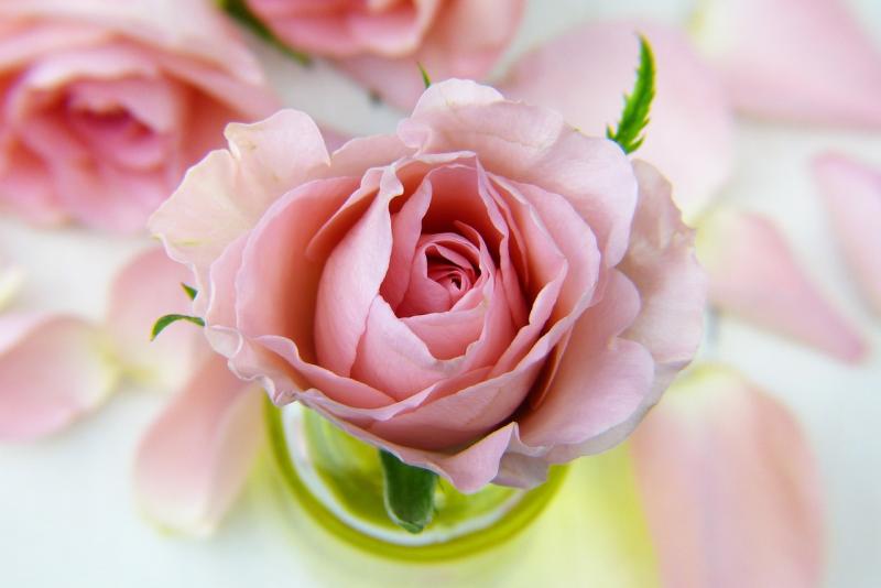 Kildare Death Notices for today: Monday, September 8 2025