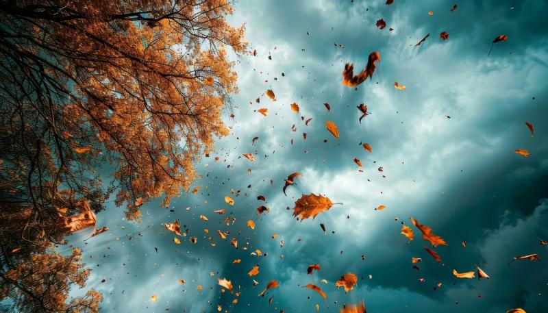 'Autumn gales loom' - Ireland in for strong winds and heavy showers in coming days