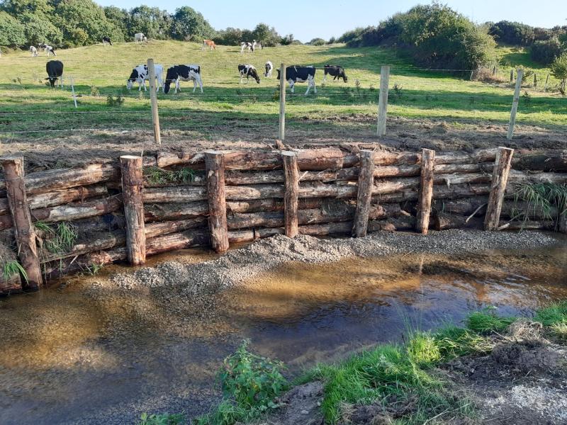 Louth rivers benefit from €108,000 habitat improvement works