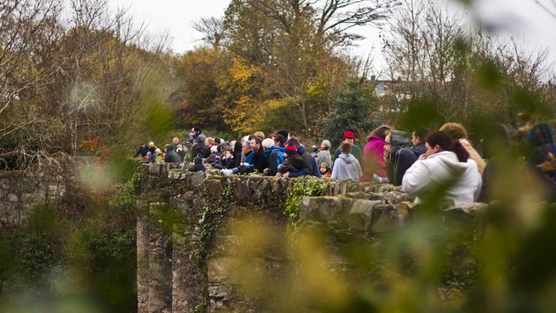 Buncrana to host family fun and wellness day to mark World Suicide Prevention Day
