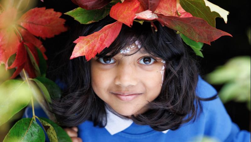 Free trees for Leitrim primary schools this National Tree Day