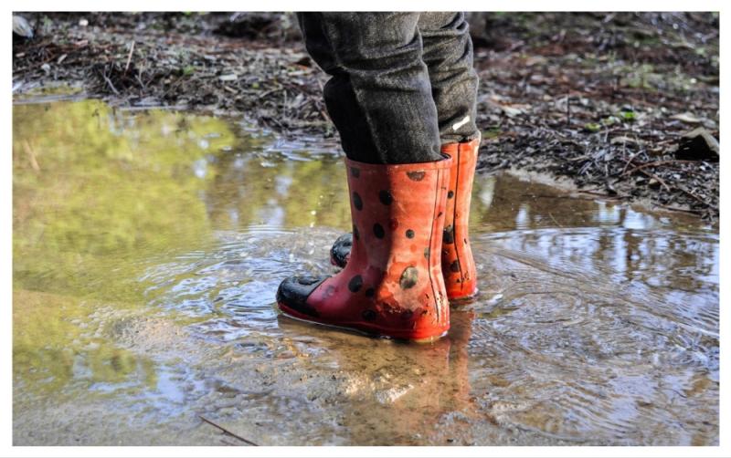 Met Éireann pinpoints when to expect shift in weather for National Ploughing Championships
