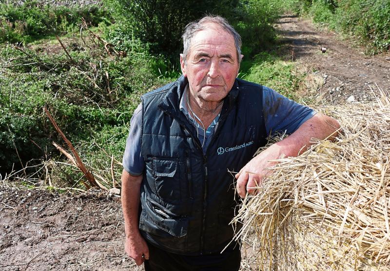 Former Limerick hurling boss gets threatening phone calls over planning objections