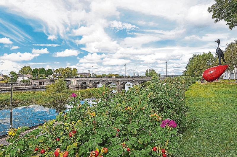 A  Lanesboro taskforce request has been made by council to boost area 