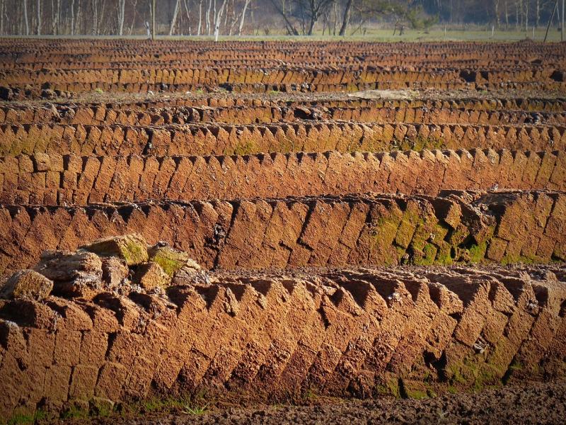 Calls for stronger action on illegal peat harvesting in Kildare