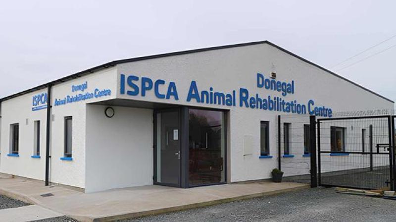 Closure of rehabilitation centre ‘a serious setback for animal welfare in Donegal’